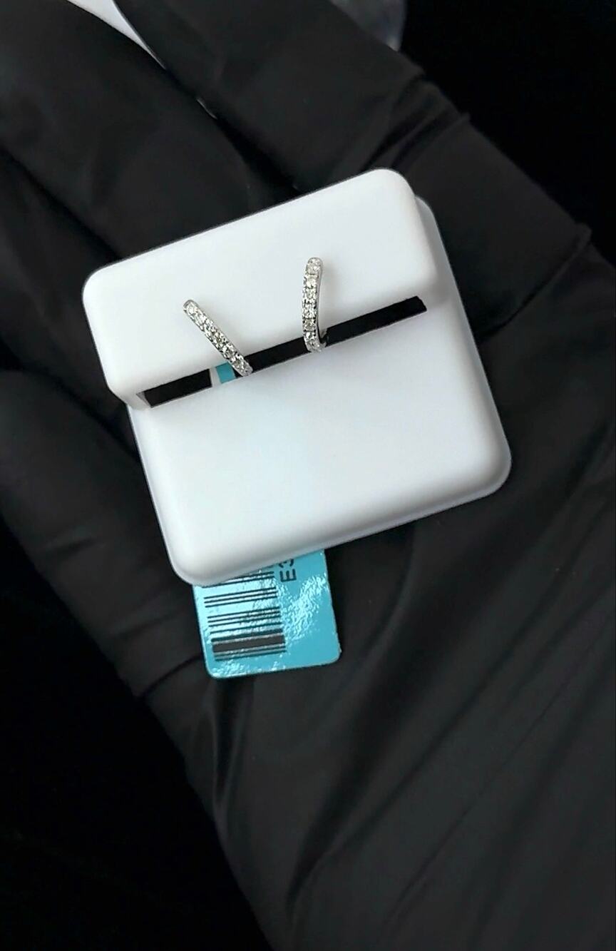 925 Sterling Silver 0.25 CTW Moissanite Hoop Earrings